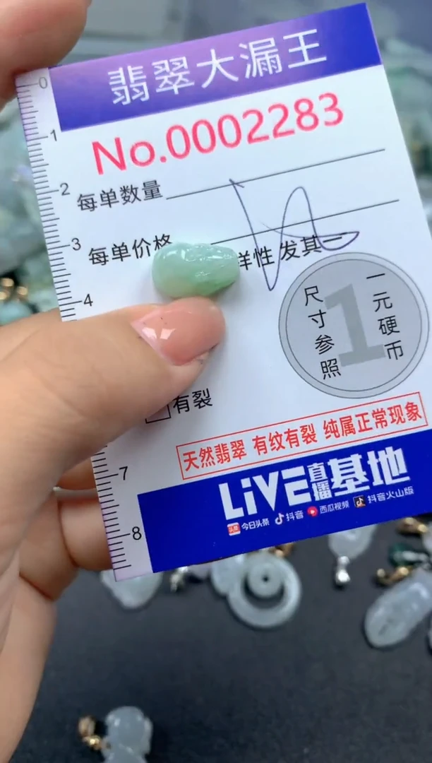 颈饰未镶嵌翡翠2283