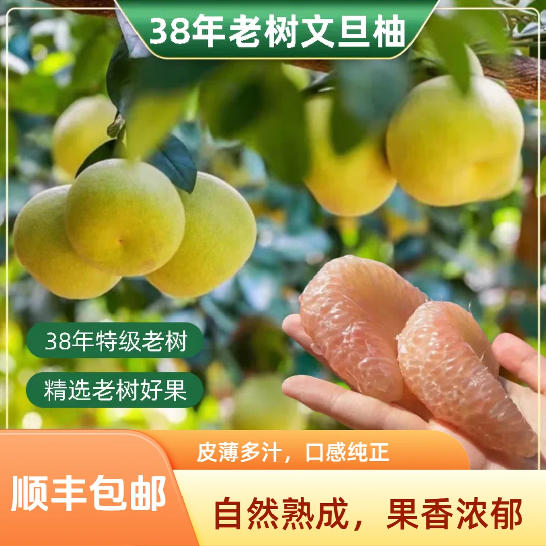 【顺丰包邮】正宗度尾文旦柚鲜嫩多汁没有虾线的柚子孕妇水果包邮
