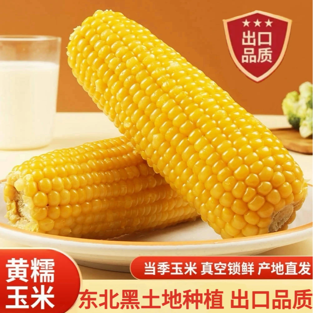 恋糯东北黄甜糯玉米低脂新鲜黄甜糯代餐玉米棒铝箔包装东北黑龙江