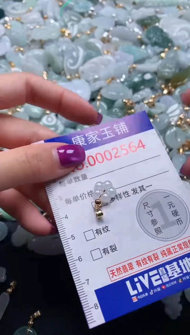 颈饰未镶嵌翡翠2564