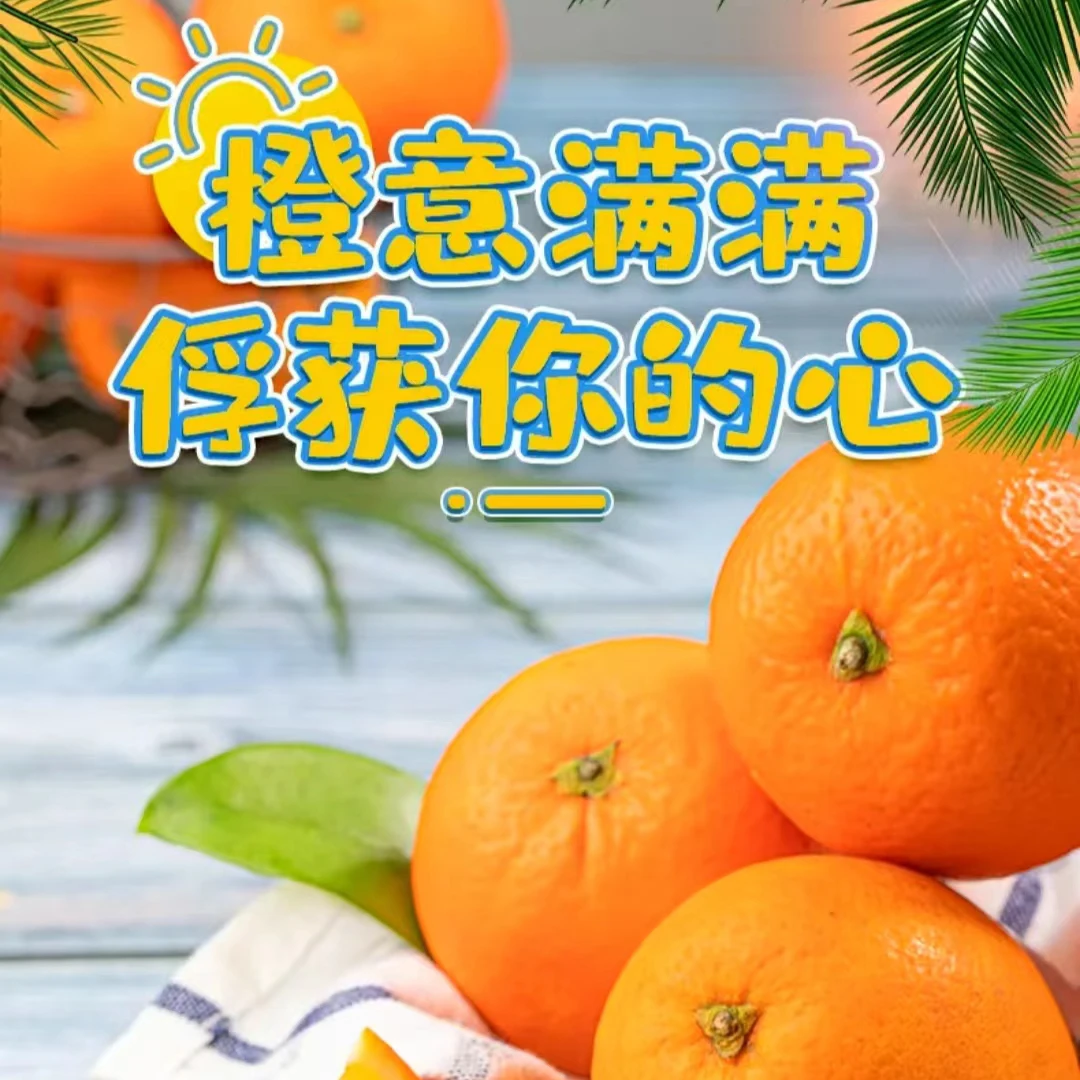 重庆奉节圆红脐橙当季新鲜水果甜橙子产地直达