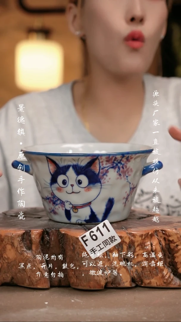 其他F611新十二器