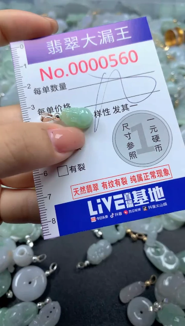 颈饰未镶嵌翡翠560