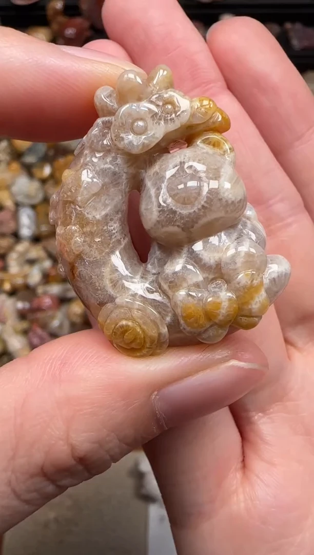 硅化珊瑚（珊瑚玉）未镶嵌颈饰630