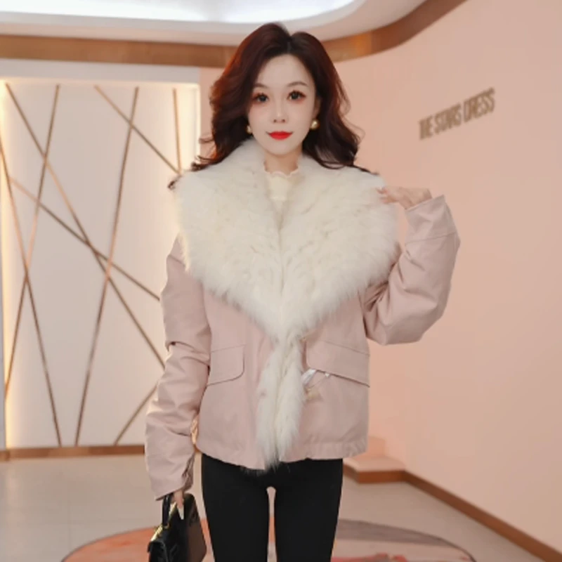 【羽绒服】冬季白鸭绒羽绒服百搭新款时尚气质休闲保暖外套女
