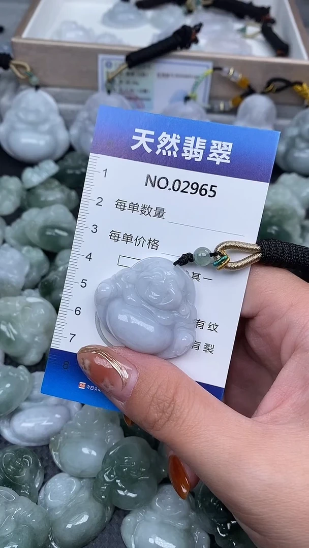 颈饰未镶嵌翡翠纯天然A货翡翠2965