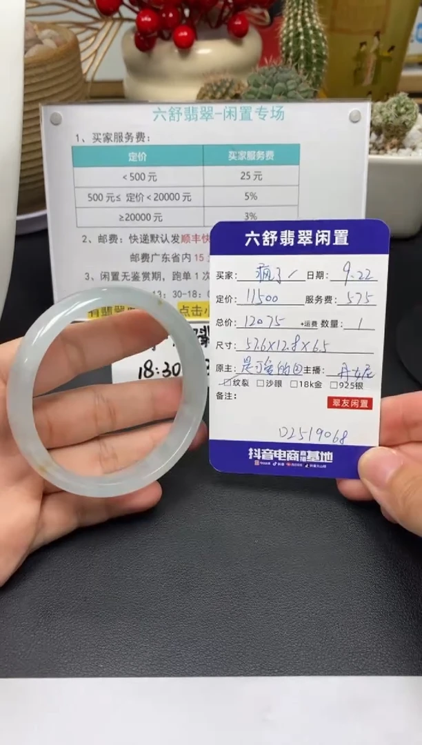 未镶嵌手镯翡翠✨****祖D2519068