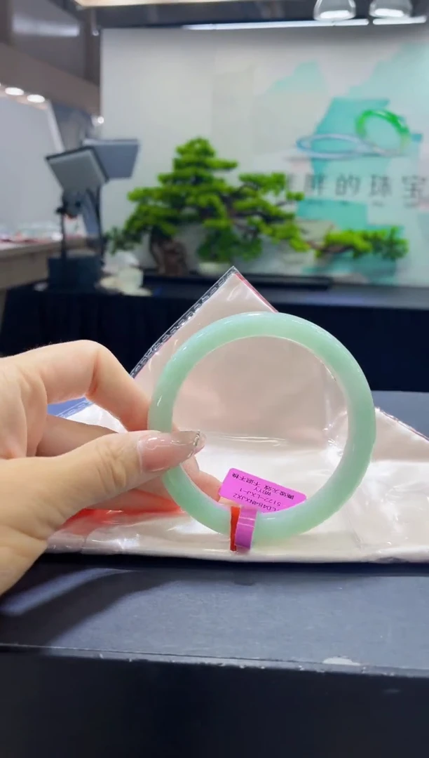 未镶嵌手镯翡翠4