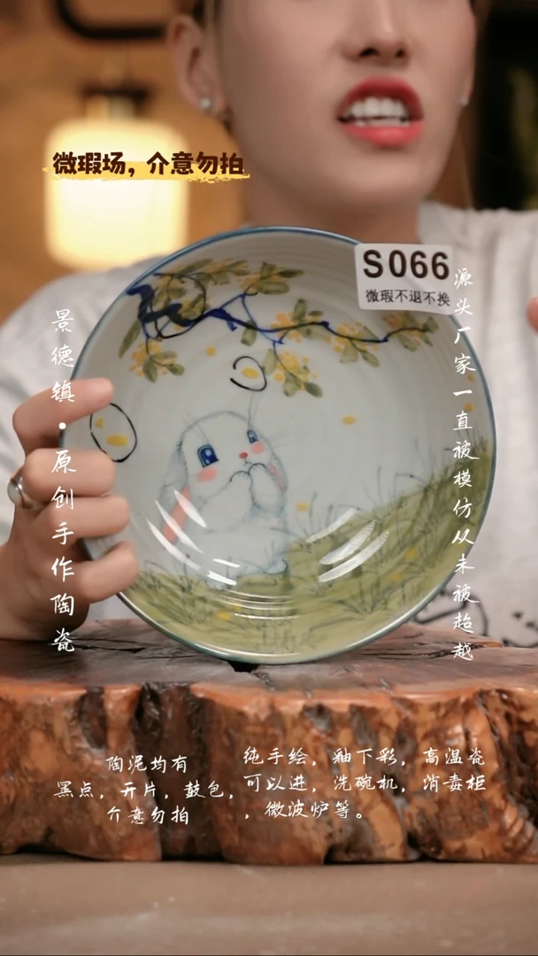 其他WS066新十二器
