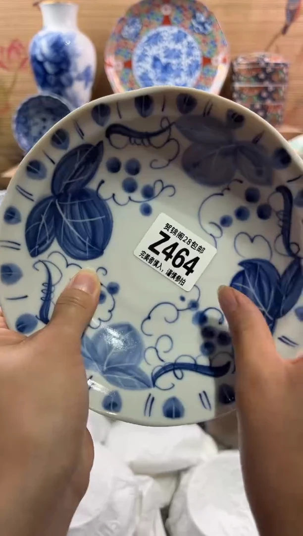 瓷片菱*         Z464