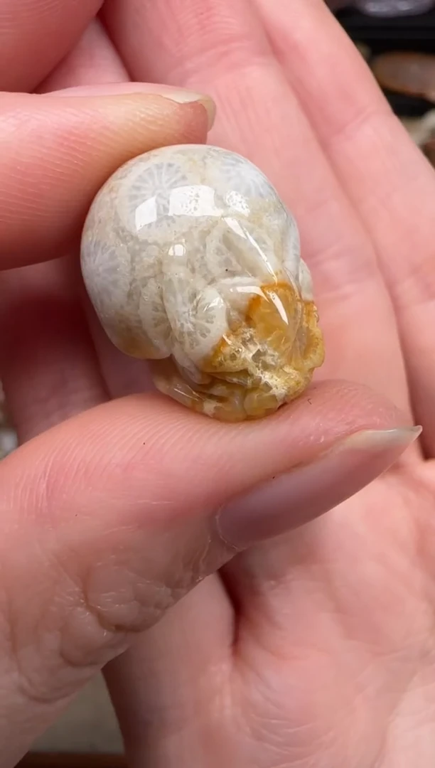 硅化珊瑚（珊瑚玉）未镶嵌颈饰268