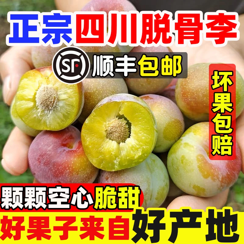 【顺丰包邮】四川正宗脱骨李半边红茵红李空心李当季新鲜水果整箱
