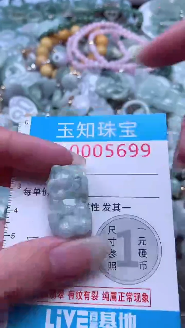 翡翠未镶嵌吊坠(不含链)5699