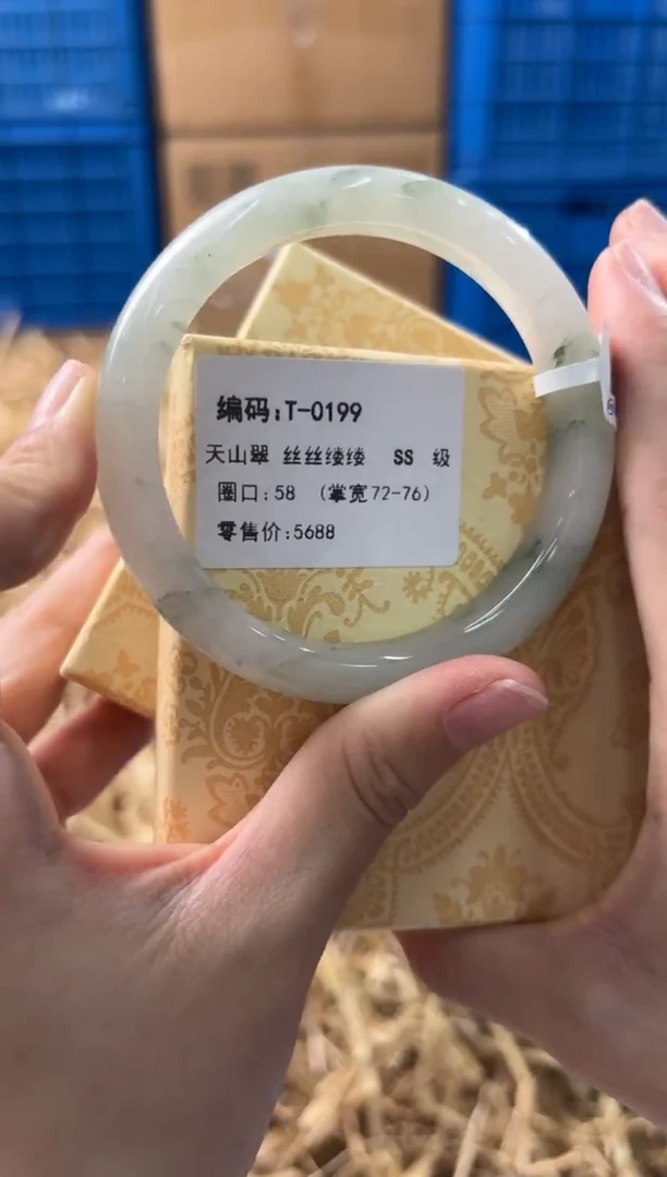 未镶嵌手镯石英质玉T-0199