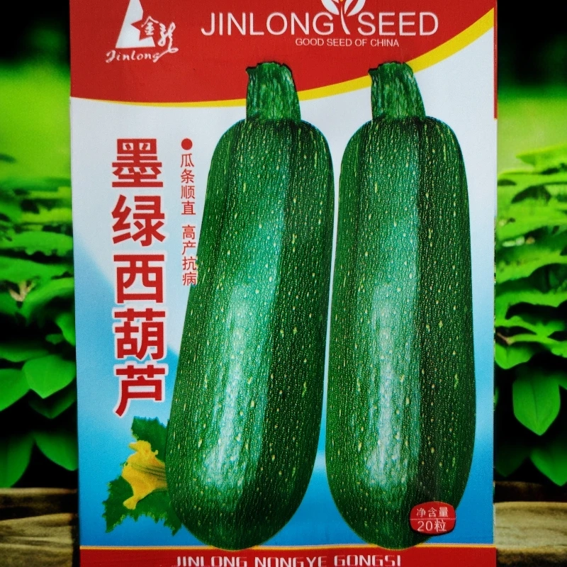 墨绿西葫芦籽20粒左右