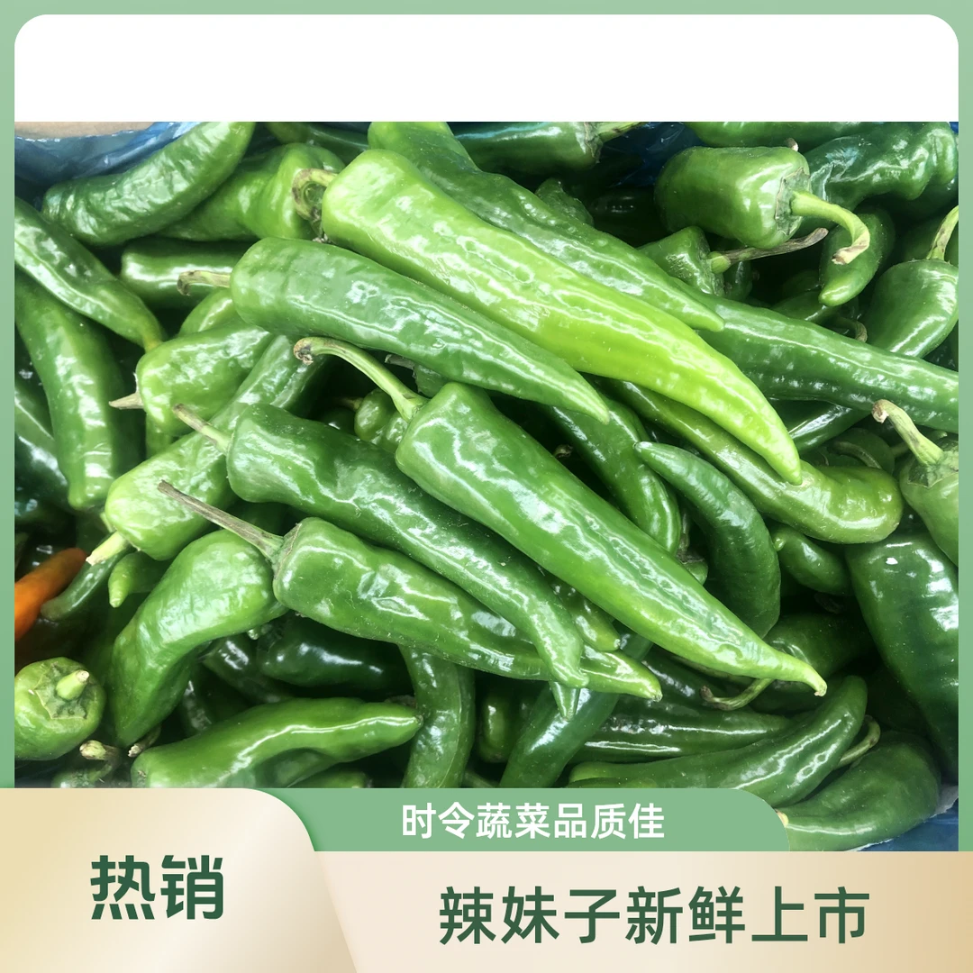 【蔬菜配送】辣妹子 约250g