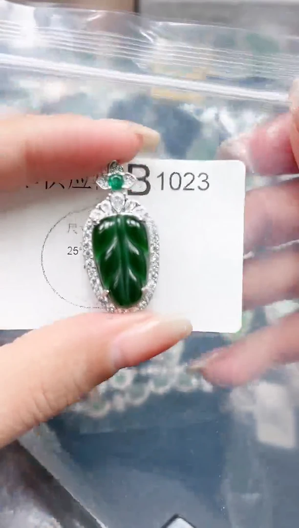 【闪购商品】翡翠颈饰未镶嵌1023赠皮绳