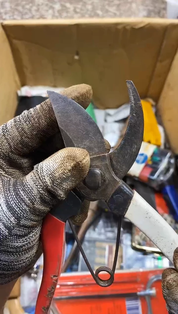 8**1麻嘎子工具闪购链接一物一拍