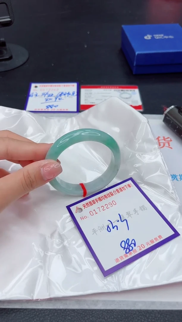 未镶嵌手镯翡翠1