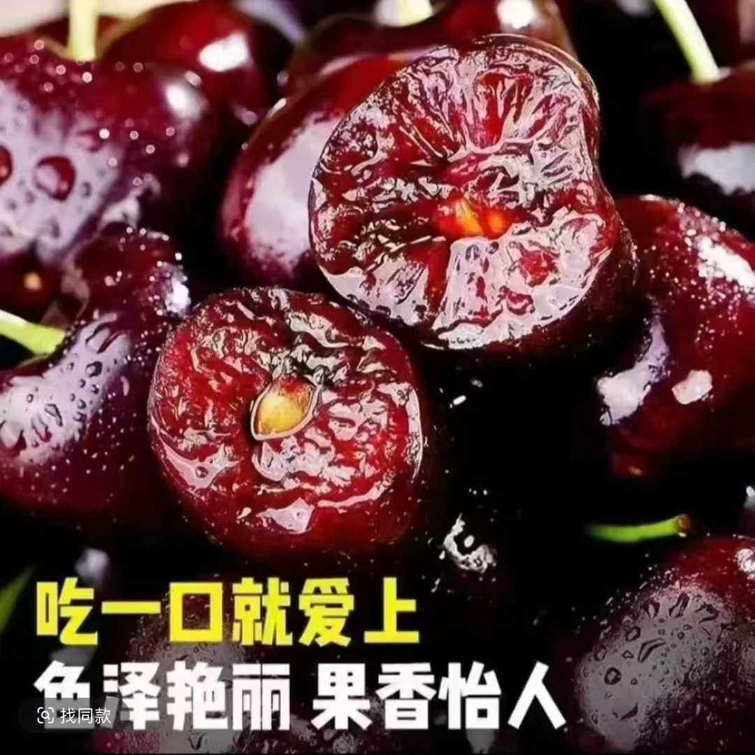 【EMS空运】正宗山东美早樱桃现摘脆甜多汁新鲜包邮坏果包赔