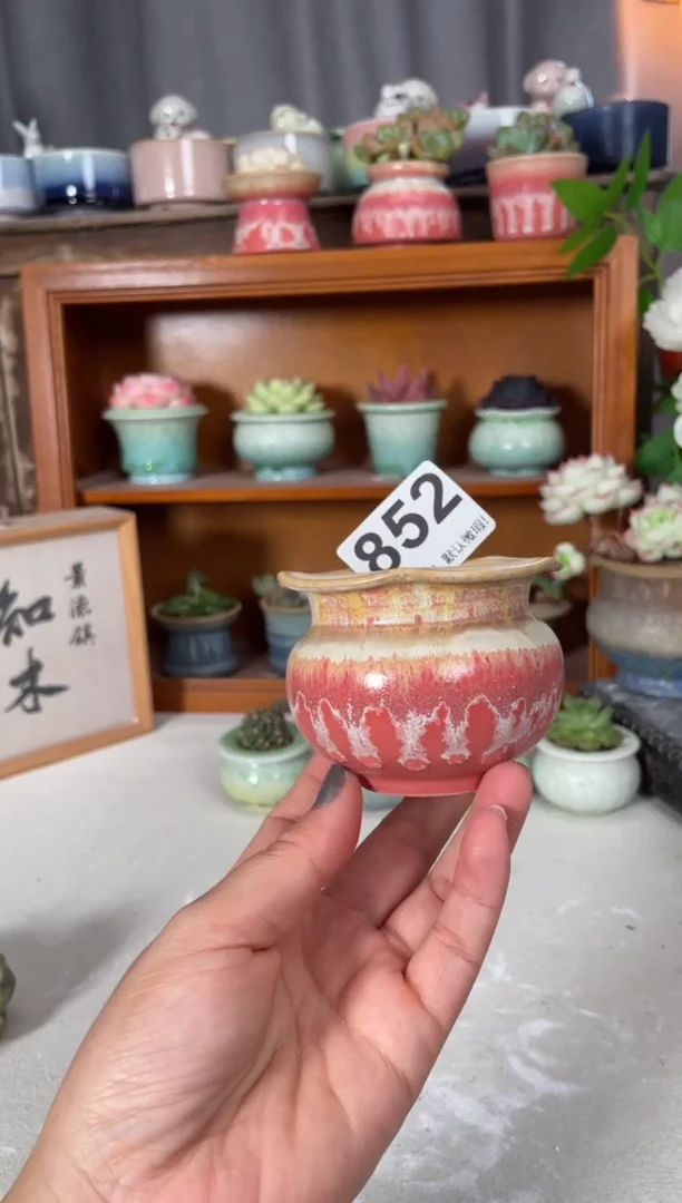 瓷片洛*852知木小芳花盆
