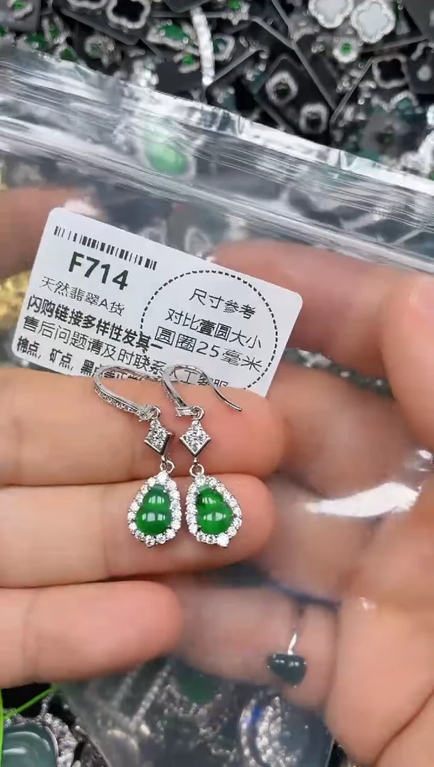 颈饰未镶嵌翡翠F714耳钩