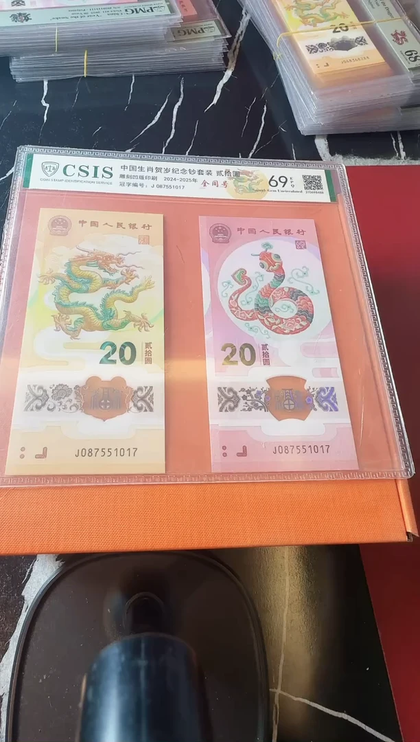 塑料2025 龙蛇全同号 一对