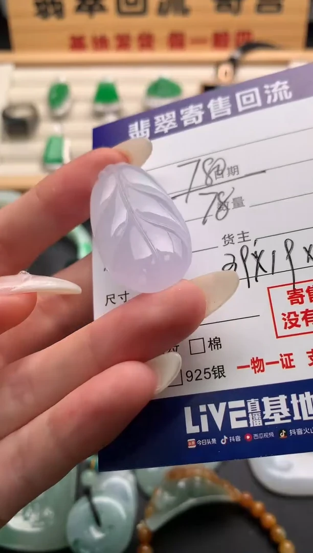 翡翠未镶嵌颈饰10137710