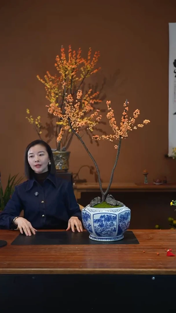 全部花朵冬橙盆景盆景盆景