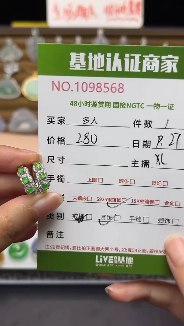 银S925镶嵌翡翠耳饰多人