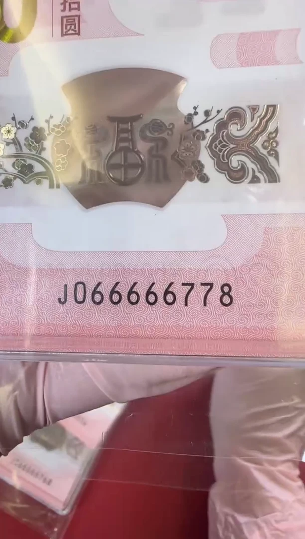 【闪购商品】塑料2025蛇钞单张裸066666778