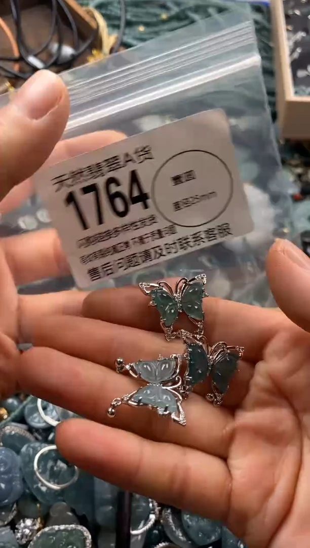 【闪购商品】翡翠颈饰未镶嵌多样性发其一1764