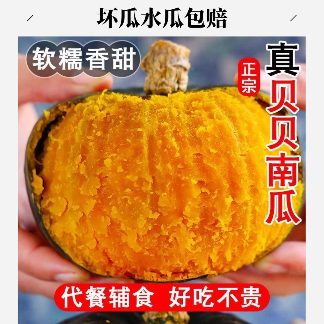 老瓜试吃贝贝南瓜净重5斤香甜贝贝南瓜宝宝辅食老南瓜坏果包赔