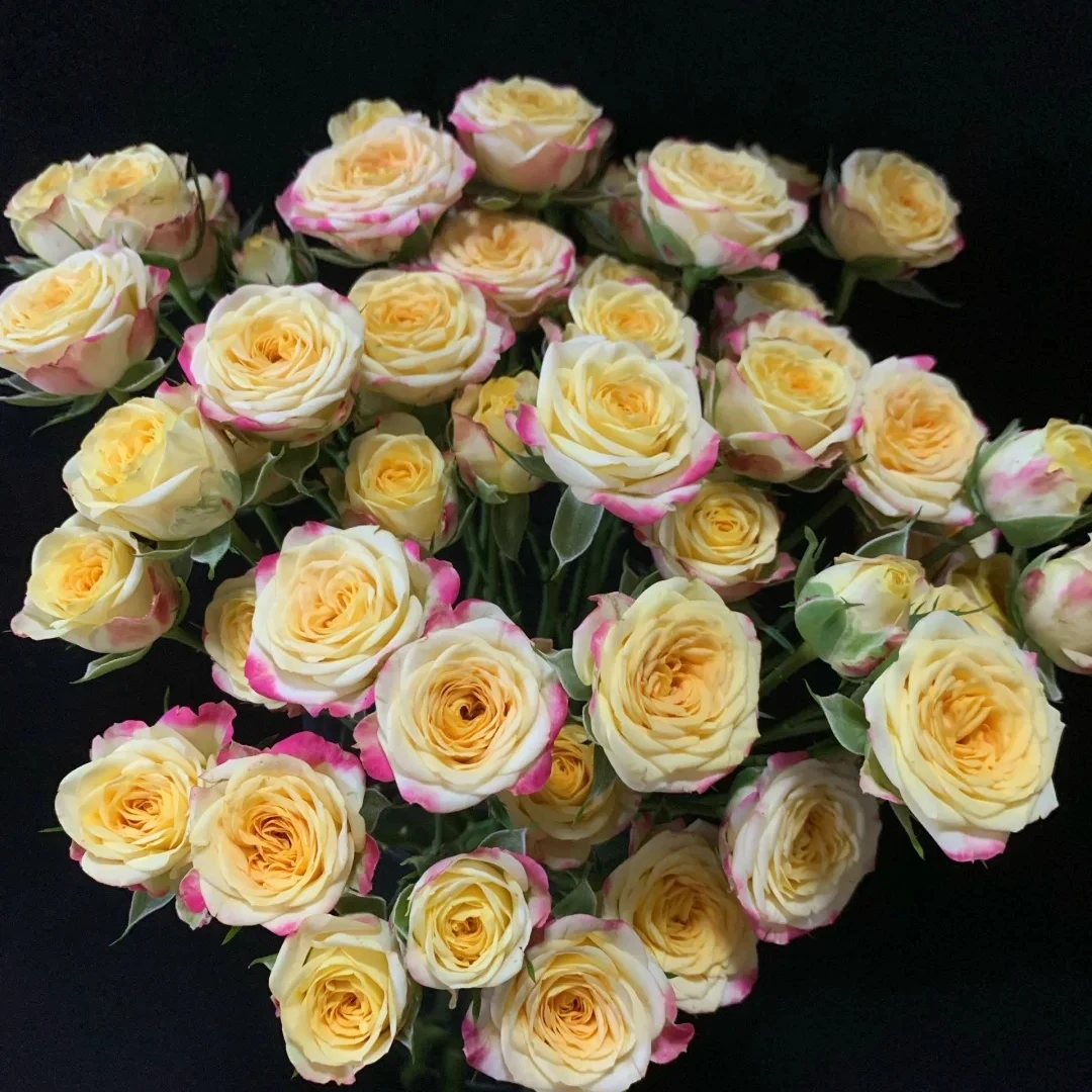 烟花，多头玫瑰，1单冷链包邮，2单升级京东或者顺丰，远的发德邦