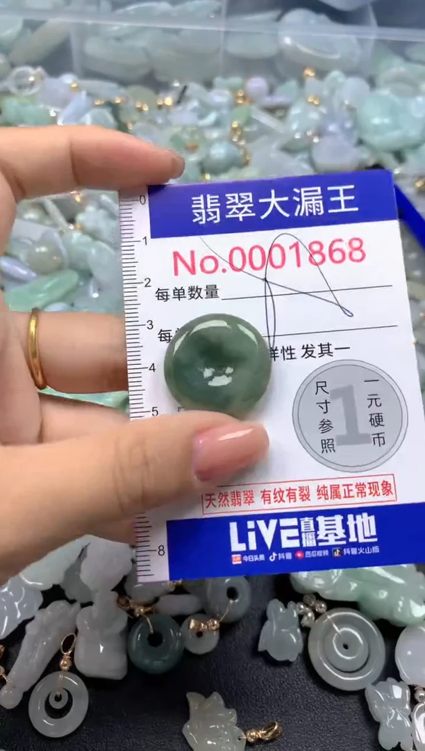 颈饰未镶嵌翡翠1868