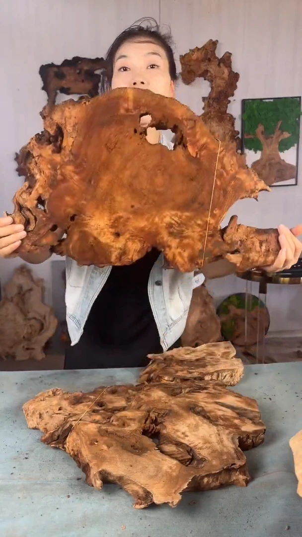 香杉木杉木瘤随型【原料】031