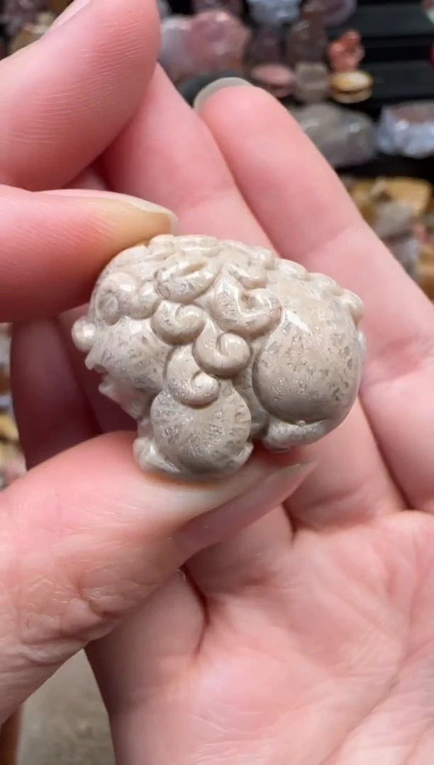 颈饰未镶嵌硅化珊瑚（珊瑚玉）497