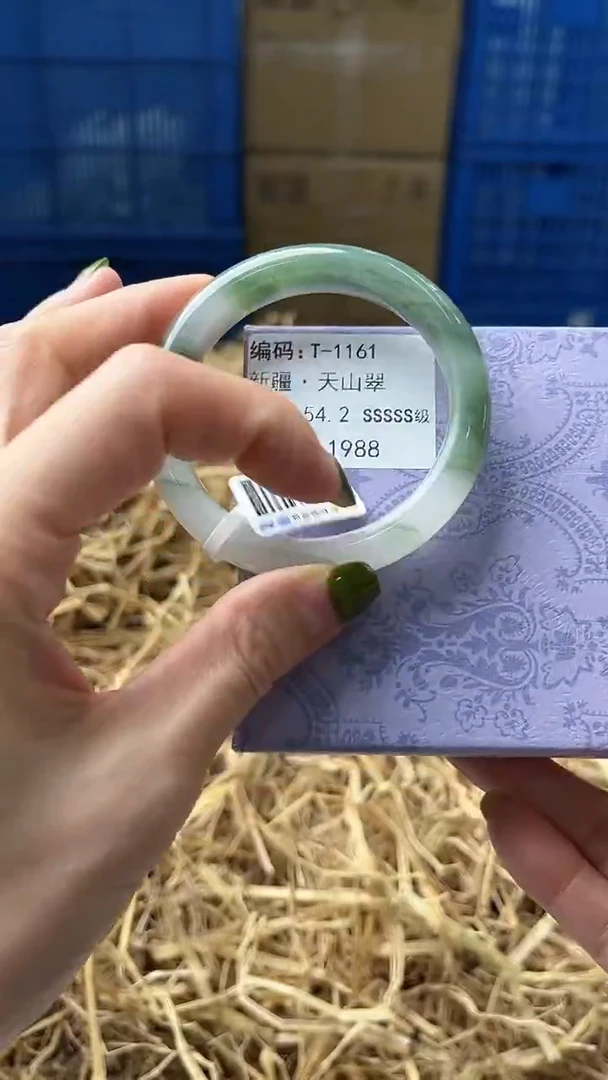未镶嵌手镯石英质玉T1161