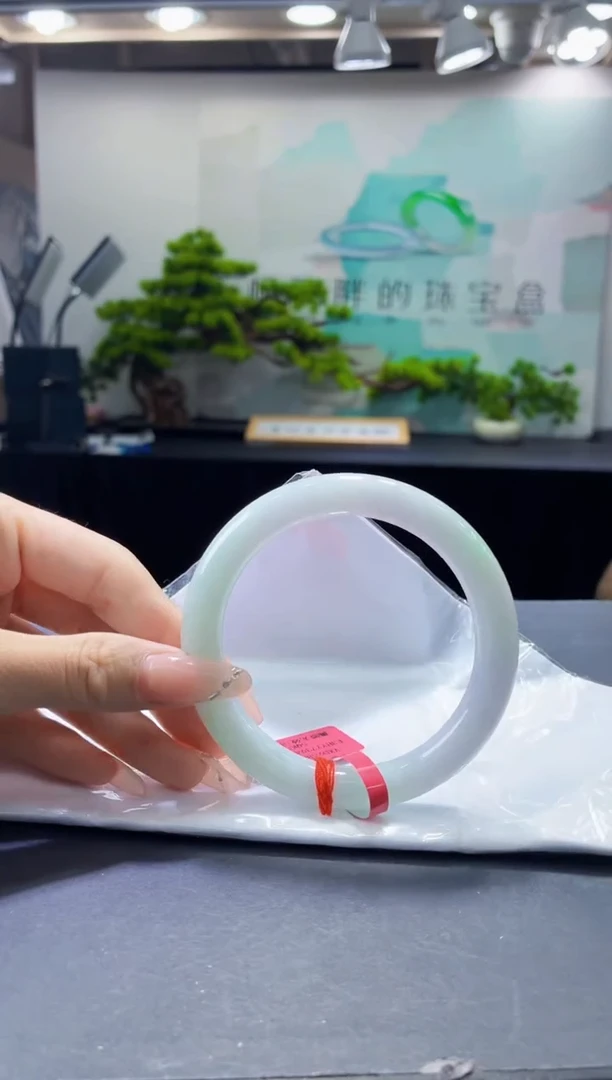 未镶嵌手镯翡翠8
