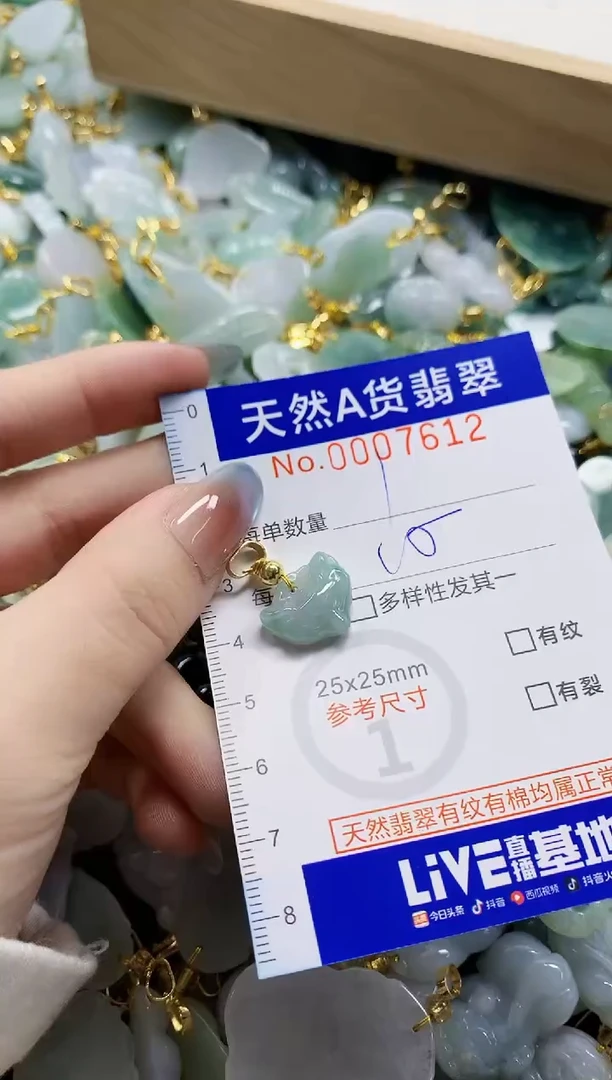 颈饰未镶嵌翡翠纯天然a货翡翠