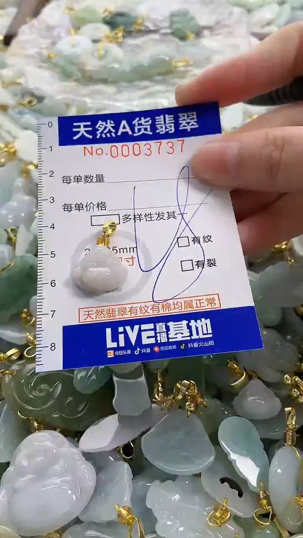 颈饰未镶嵌翡翠天然A货翡翠