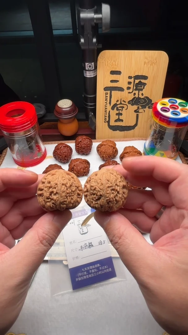 把件文玩核桃021平底锅金蝉子38.5-全品无修