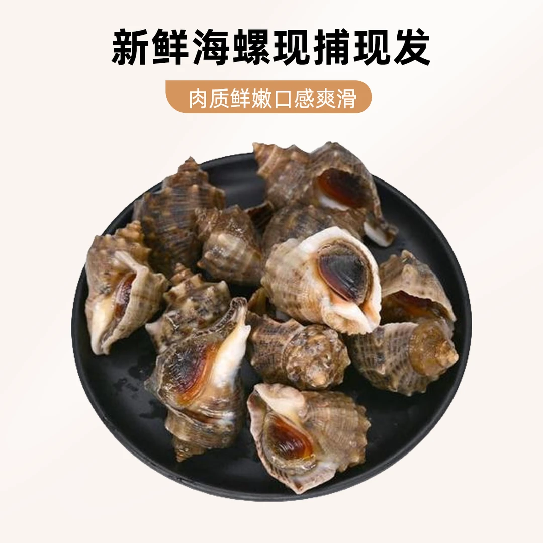 金叶优选&鲜活海螺 1斤