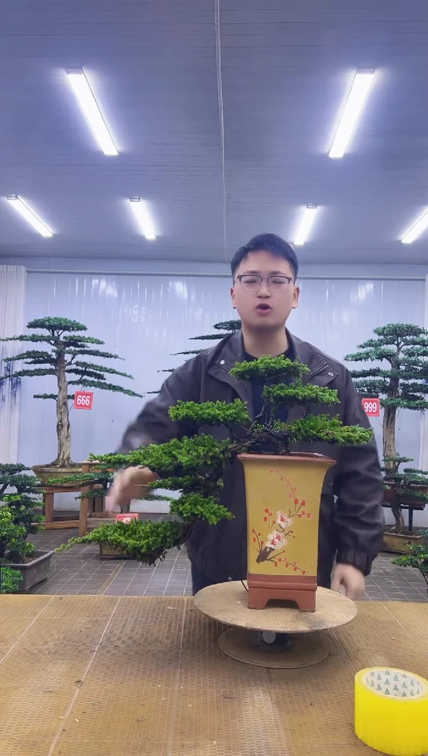 无花朵000000000000000000