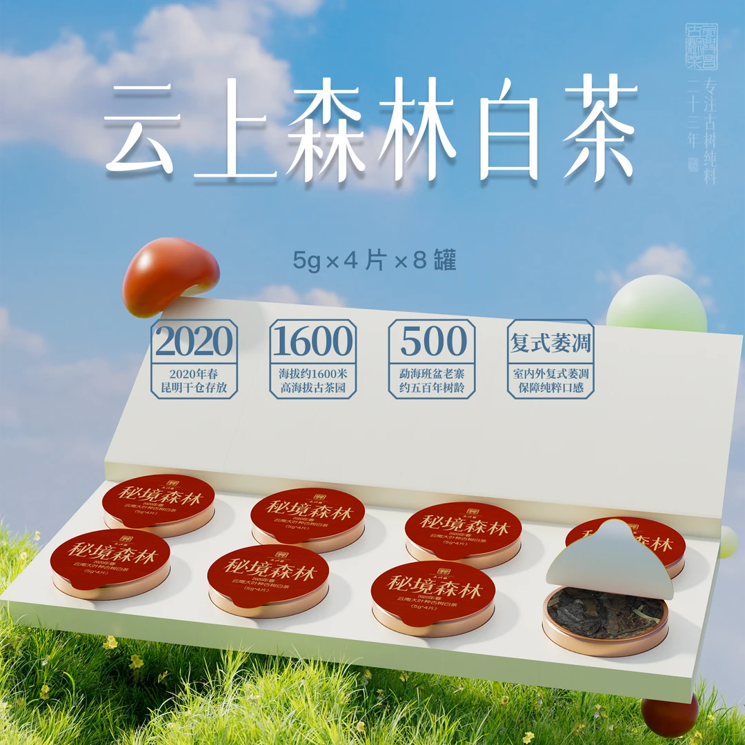 永兴昌2020年秘境森林古树白茶160g云南普洱古树纯料白茶一盒装