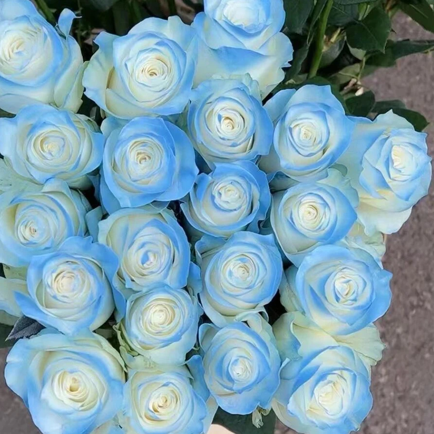 喷色碎冰蓝玫瑰10支+绿灵草一把+紫色鼠尾一把