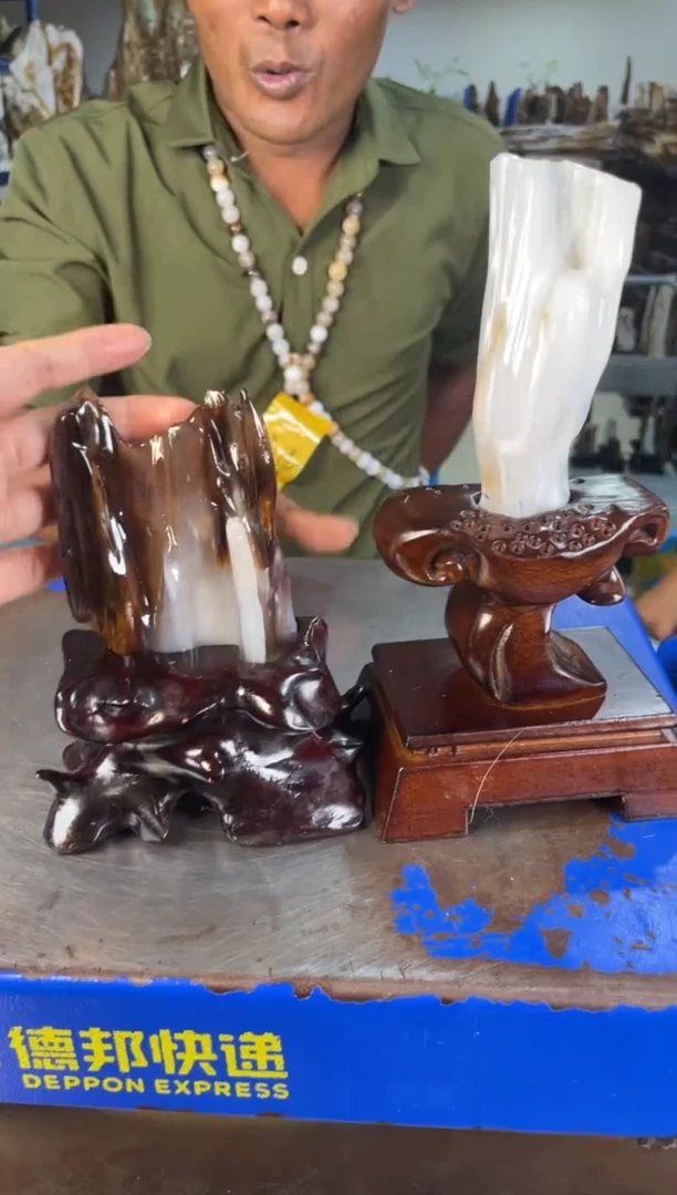 未镶嵌摆件硅化玉4