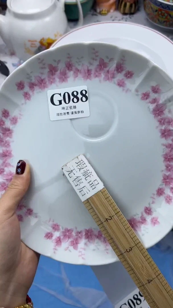 瓷片          G088