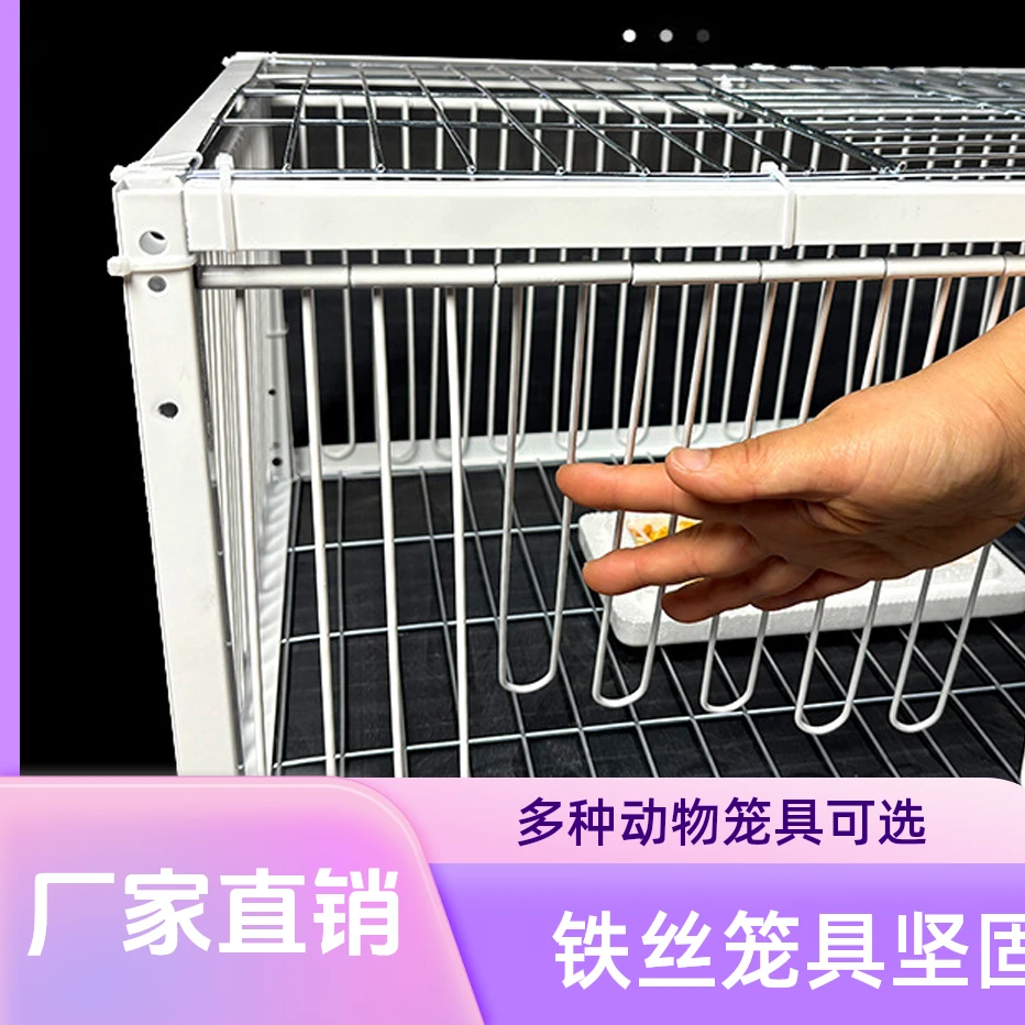鸽子撞门天落笼活络门笼鸽笼铁笼组装 加密防锈铁丝笼 养殖笼