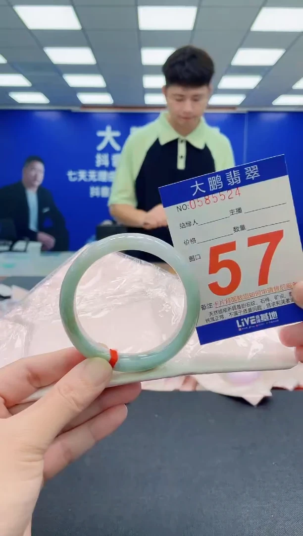 未镶嵌手镯翡翠AAAAAAAAA